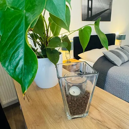 Jurga Apartment *